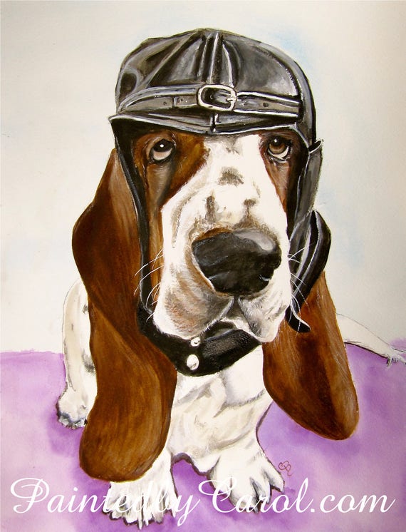 Basset hound sale painting