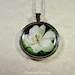 see more listings in the Flower Pendants&Earrings section