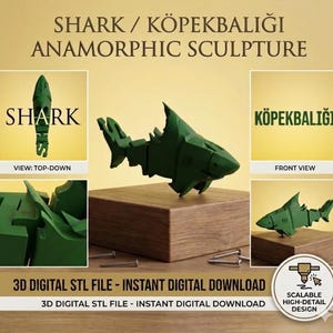 Modelo 3D de ilusión óptica de tiburón con texto invertido / Escultura de ilusión óptica (archivo STL digital)