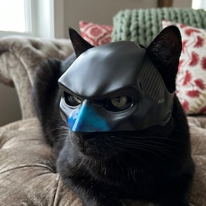 May include: A black cat wearing a black and blue mask with a carbon fiber texture on the sides. The cat is sitting on a brown, tufted sofa. The mask has a blue iridescent nose piece.