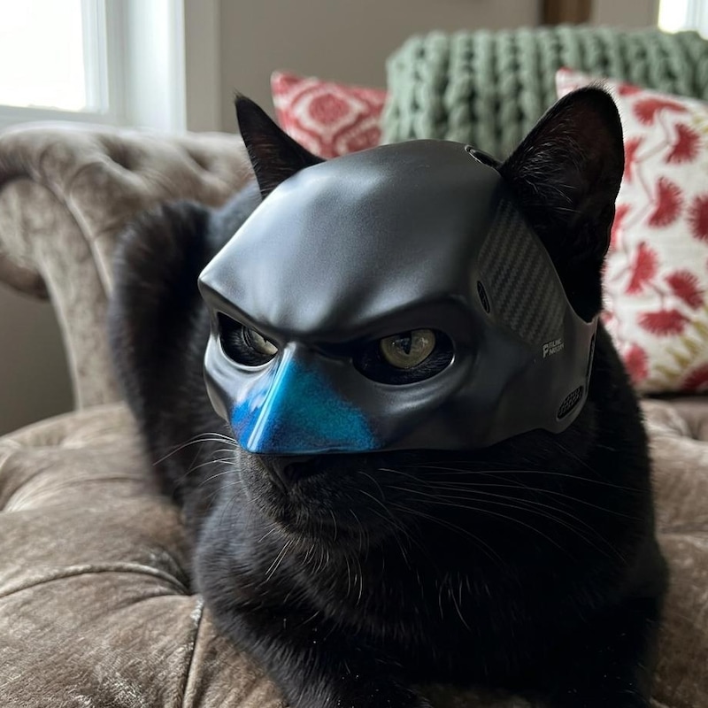Cod Cat Mask Warrior Cats Cosplay Mask - Etsy