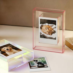 May include: Two rectangular acrylic photo frames. One frame is standing vertically with a pink tint, displaying an instant photo of an orange cat. The other frame lies horizontally with an iridescent finish, holding an instant photo of a golden dog.