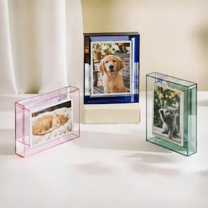 May include: Three rectangular acrylic photo frames in pink, blue, and green. Each frame features a clear center panel holding a photograph: a sleeping orange cat in the pink frame, a golden retriever in the blue frame, and a gray kitten in the green frame.