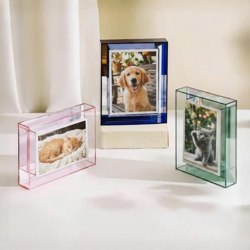 May include: Three rectangular acrylic photo frames in pink, blue, and green. Each frame features a clear center panel holding a photograph: a sleeping orange cat in the pink frame, a golden retriever in the blue frame, and a gray kitten in the green frame.