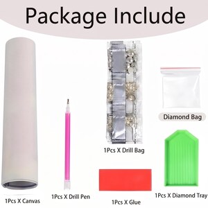 May include: A diamond painting kit including a rolled white canvas, a pink drill pen, a clear plastic drill bag containing small round beads, a small empty diamond bag, a rectangular red glue block, and a green plastic diamond tray.