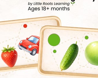 Actividad imprimible de clasificación de colores para niños pequeños / Aprendizaje Montessori para niños pequeños / Tarjetas de emparejamiento y vocabulario / Descarga instantánea