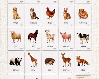 Montessori Hungarian Animal Flash Cards for Toddlers | Magyar Állatok Kártyák | Preschool Learning Cards | Language Development Toy