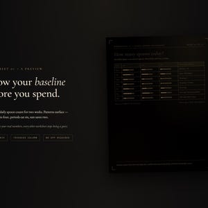 May include: A black worksheet titled "Know your baseline before you spend" with white text. It includes a table labeled "How many spoons today?" to track daily energy levels, along with buttons for "14-day grid," "triggers column," and "no app required."
