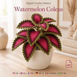 Könnte beinhalten: Eine digitale Häkelanleitung mit dem Titel Watermelon Coleus, die eine Topfpflanze mit leuchtend magentafarbenen Mitten und dunkelgrünen, gezackten Rändern an jedem Blatt zeigt. Die Pflanze steht in einem weißen Keramiktopf und ein PDF-Symbol ist sichtbar.