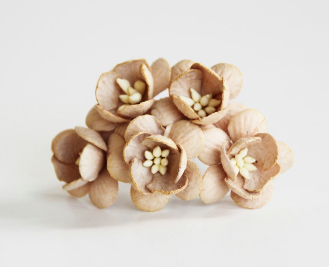 50 Pcs Beige Cherry Blossom Paper Flowers Wholesale Pack Etsy