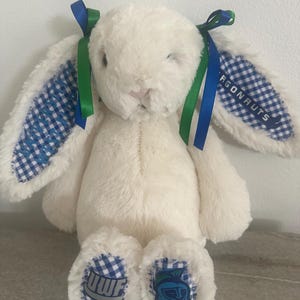 May include: A cream-colored plush rabbit with long ears featuring blue and white gingham fabric on the inner sides. The ears are tied with blue and green ribbons. The text ARGONAUTS is on one ear, and the feet feature the letters UWF and a helmet logo.