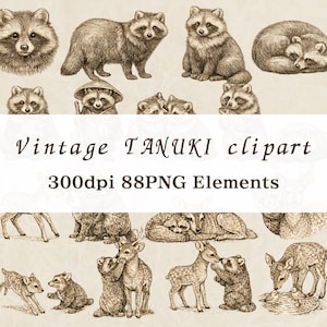 Puede incluir: Clipart vintage de Tanuki con ilustraciones detalladas de mapaches y ciervos en varias poses. La imagen incluye el texto "Vintage TANUKI clipart" y "300dpi 88PNG Elements".