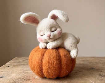 Bunny Pumpkin Needle Felting Kit for Beginners | Wool Roving+Step Guide, DIY Craft, Stress Relief Hobby, Gift for Crafters, Birthday Present