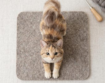 Nålfiltningskit med realistisk katt DIY-pysselset för vuxna djurälskare present stresslindring kreativ hobby