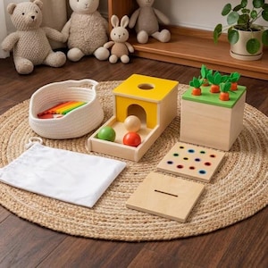 Montessori-babyspeelgoedset Houten kleursortering Objectduurzaamheid Peutercadeau