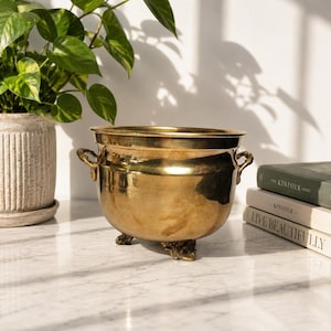 May include: A polished brass planter with a rounded body, two small side handles, and three ornate feet. The metallic surface reflects light, showing a warm golden tone. The vessel has a wide, open top and a smooth, curved exterior design.