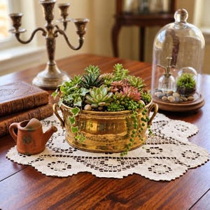 May include: A round brass planter with two side handles, filled with a variety of green and pink succulents, including trailing string of pearls and ivy, sitting on a white lace doily on a wooden surface.