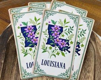 Louisiana Mini Note Cards with Envelopes - Louisiana State Greeting Card, Lunch Box Note, Southern Stationery, Thank You Gift Enclosure Card
