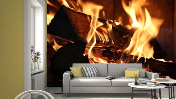 Fireplace Charcoal Bonfire Flames Photo Wallpaper Mural Home Poster Decoration
