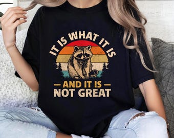 It Is What It Is And It Is Not Great T-shirt, Funny Meme Raccoon Shirt, Vintage Y2k, Retro Meme Shirt, Funny Saying T-shirt