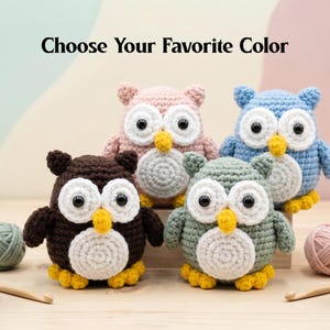 May include: Four crocheted owl figurines in brown, pink, blue, and green, each with white bellies, large eyes, and yellow beaks and feet. The text "Choose Your Favorite Color" is above the owls. Yarn and crochet hooks are also visible.