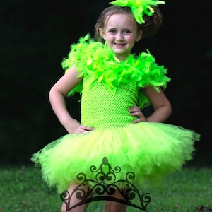 グリーンのオウムのコスチューム、ハロウィンコスチューム、子供用オウムのコスチューム、女の子用チュチュドレス、幼児用コスチューム、コニュア、インコ、オウム、羽根飾り