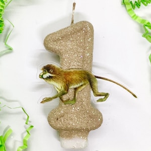 Può includere: Una candela di compleanno numero uno di colore marrone glitterato con un motivo di scimmia. La scimmia è marrone e ha una lunga coda.