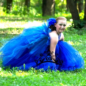 Blaue Ara Kostüm, blaue Vogel treiben Kleid, Halloween-Kostüm, Kinder Papagei Kostüm, Baby Mädchen Tutu Kleid, Kleinkind Kostüm, blau Erara