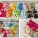 Pick One (1) 6" Large Grosgrain Bow Headband - Photo Prop Hairbow Cheer Cheerleader Accessory - Little Girls Hair Bow - Choice Of Color