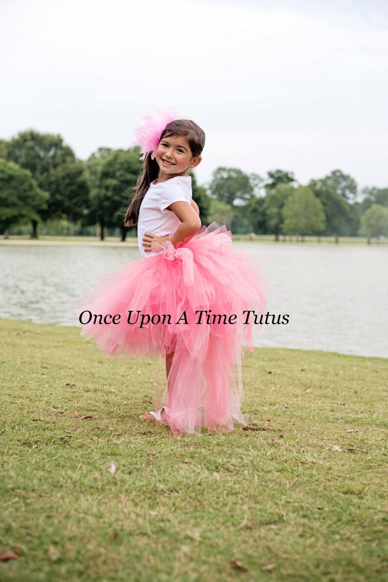 Pink Flamingo Bustle Tutu Flamingo Costume Halloween Etsy