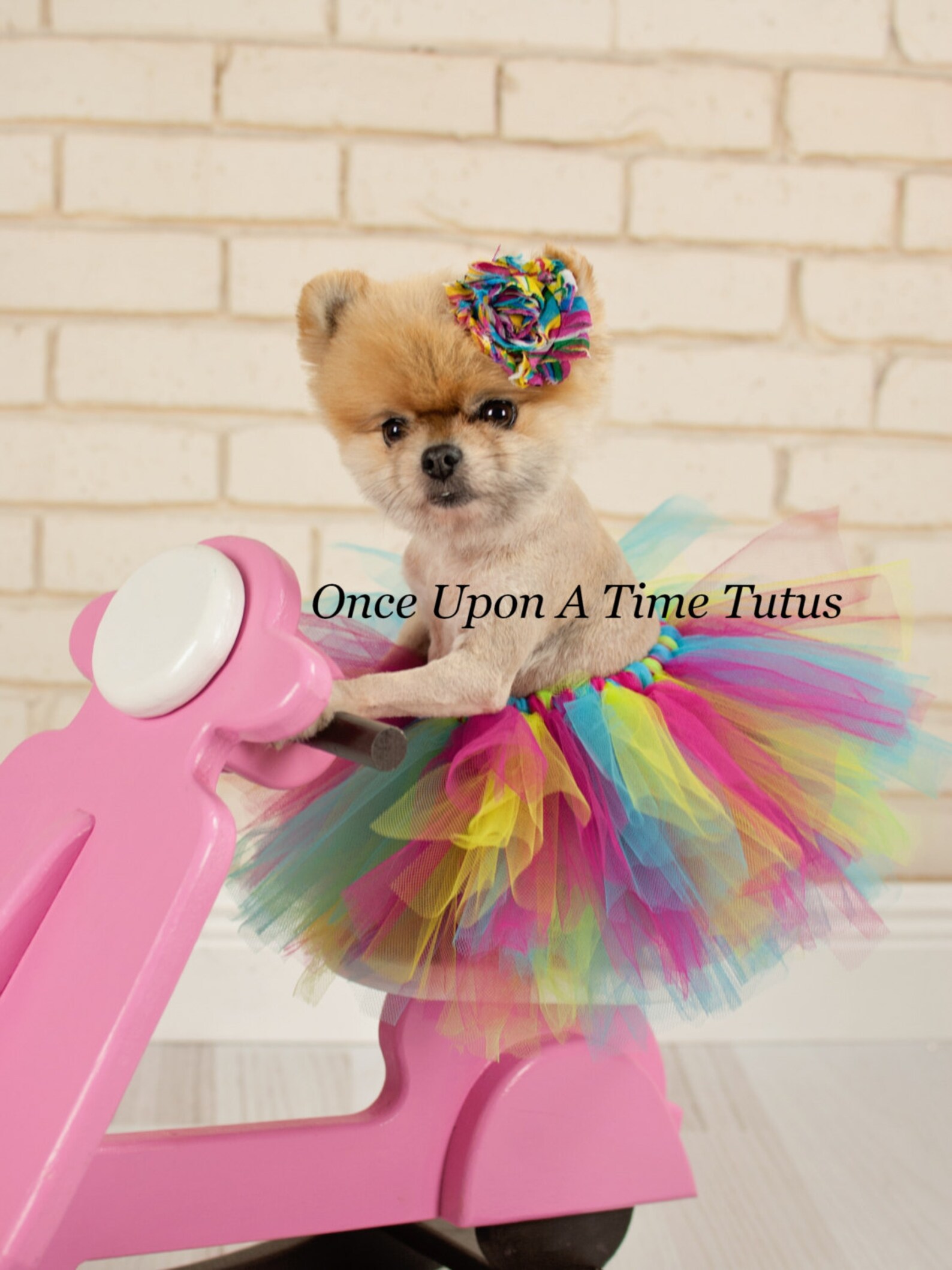 Rainbow Dog Tutu, Dog Tutu, Puppy Tutu Skirt, Dog Halloween Costume