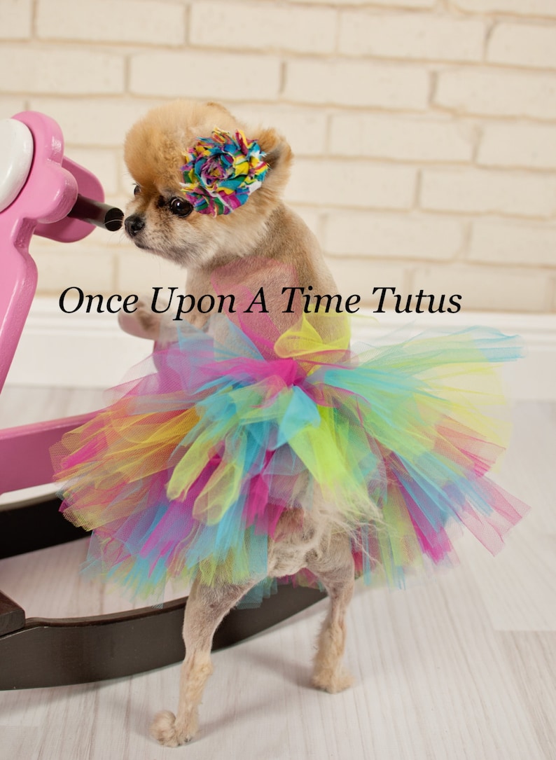 Rainbow Dog Tutu Dog Tutu Puppy Tutu Skirt Dog Halloween Etsy