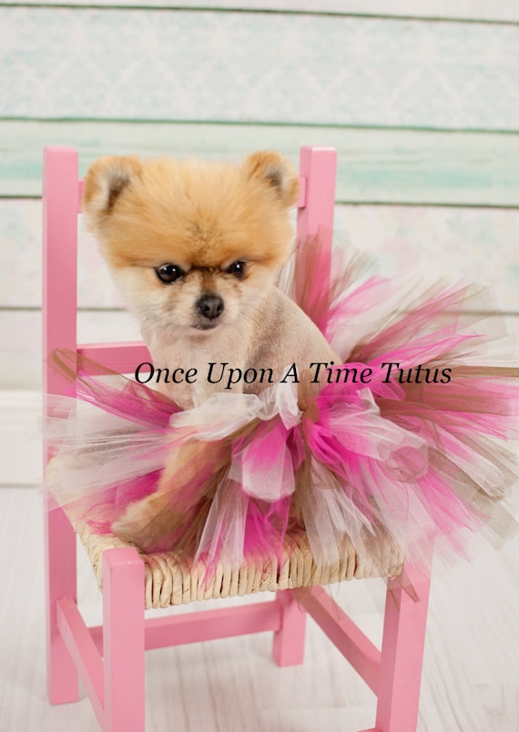 Tutu skirt for shop dogs