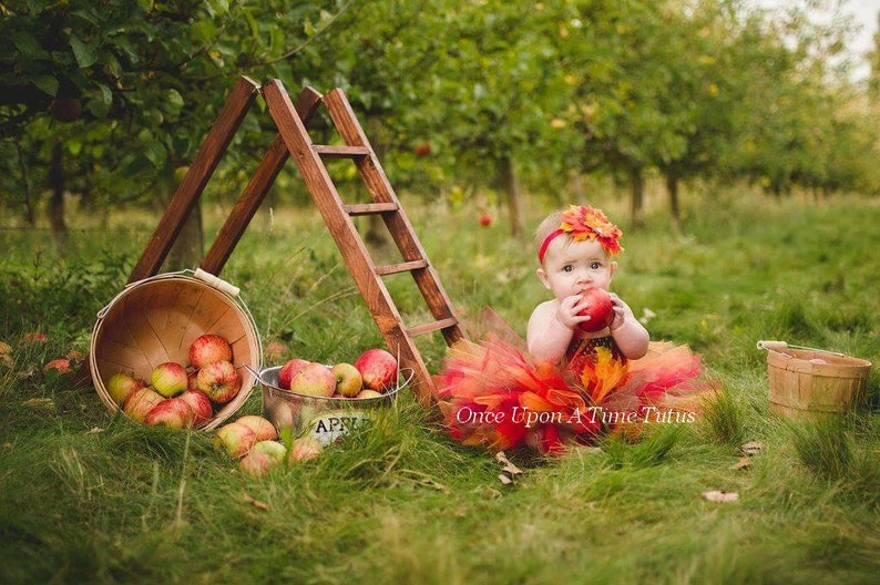 Autumn Fairy Costume, Fairy Tutu Dress, Halloween Costume, Fall Fairy, Woodland Fairy, Leaves Tutu, Leaf Tutu, Renaissance Fairy, Festival image 1