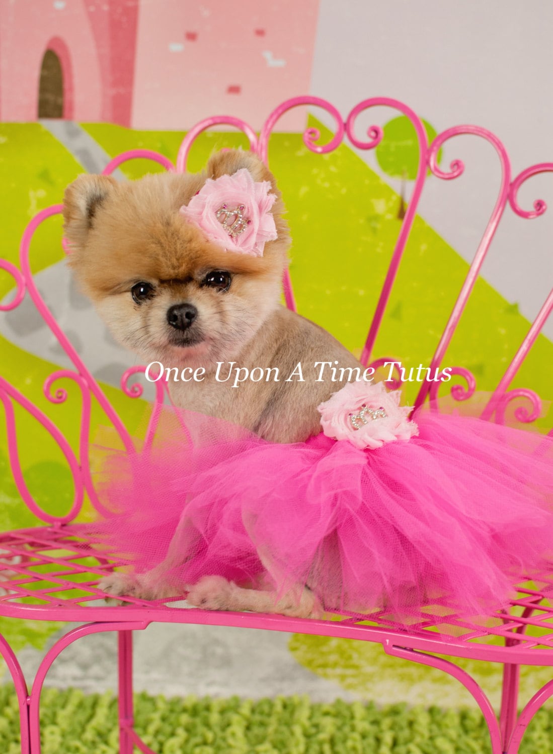 Pink top dog tutu