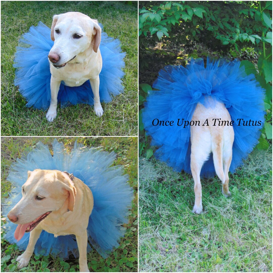 Blue Dog Tutu, Dog Tutu, Puppy Tutu Skirt, Dog Halloween Costume, Fur