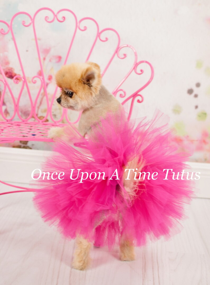 Hot Pink Dog Tutu Dog Tutu Puppy Tutu Skirt Dog Halloween Etsy