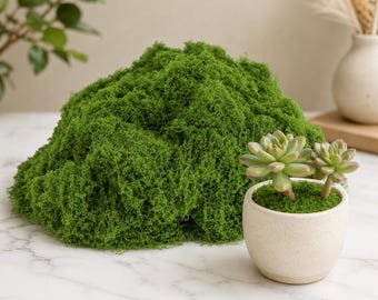 Artificial Green Moss for Potted Plants, Crafts, Fairy Garden Decor, Floral Arrangements