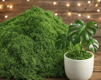 Artificial Green Moss for Crafts, Fairy Gardens, Table Decor, Wedding Centerpieces