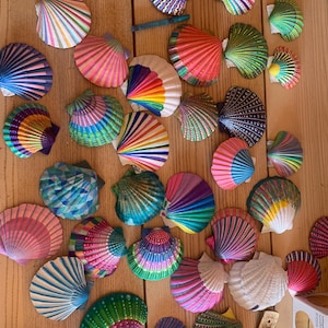 Può includere: Una collezione di conchiglie colorate e dipinte disposte su una superficie di legno. Le conchiglie sono decorate con vari motivi e colori, tra cui strisce arcobaleno, tonalità rosa, verdi e blu. Le conchiglie variano per dimensioni e forma.