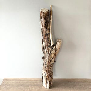 Può includere: Un pezzo verticale di legno naturale con una superficie di corteccia spessa e strutturata nei toni del marrone e dell'abbronzatura. Il legno presenta profonde fessure, un nodo prominente sul lato destro e un ramo sottile e chiaro.