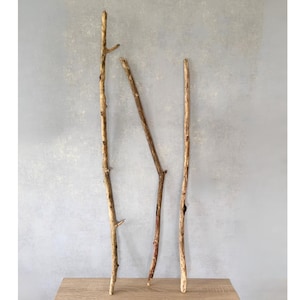 Può includere: Tre rami di legno naturale di varie lunghezze e forme si ergono su uno sfondo grigio. I rami sono marrone chiaro con superfici strutturate e piccole propaggini. Sono disposti su una superficie di legno marrone chiaro.