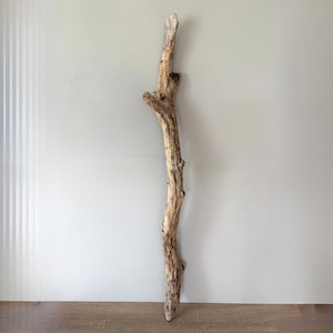 Puede incluir: Una pieza larga y delgada de madera flotante desgastada con una paleta de colores bronceado claro y gris. La madera presenta una textura natural e irregular con un nudo prominente cerca de la parte superior y varias protuberancias nudosas.