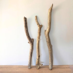 May include: Three pieces of driftwood in varying shapes and sizes stand against a white wall. The wood is a light brown colour with a weathered texture, perfect for home decor or craft projects.