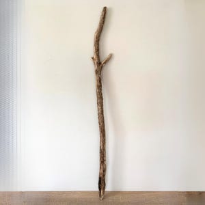 Puede incluir: Una pieza larga y delgada de madera flotante desgastada con una superficie texturizada de color marrón claro. La madera presenta una forma natural e irregular con una pequeña rama que sobresale de la sección superior, mostrando nudos orgánicos.