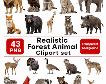 Realistic Forest Animal Clipart, Watercolor Wildlife PNG Bundle (Commercial Use)