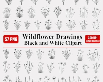 Wildflower Line Art Clipart Bundle, Black White Floral PNG Set (Digital Download)