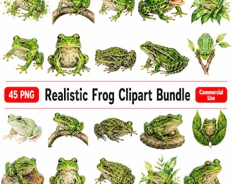 Realistic Frog Clipart Bundle: 45 Watercolor PNG Nature Animals (Digital Download)