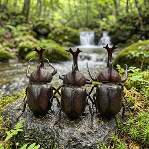 May include: Three dark brown beetles with prominent horns and legs are perched on a mossy rock. The beetles are in focus, with a blurred background of a stream and lush green foliage. The beetles appear to be a type of rhinoceros beetle.