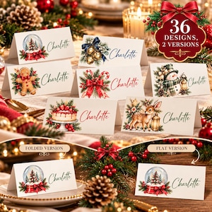 May include: A collection of white Christmas place cards featuring festive illustrations including a snow globe, gingerbread man, candy canes, snowman, cake, and deer, each with the name Charlotte printed in a script font.